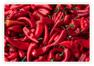 Andalusian Red Pepper